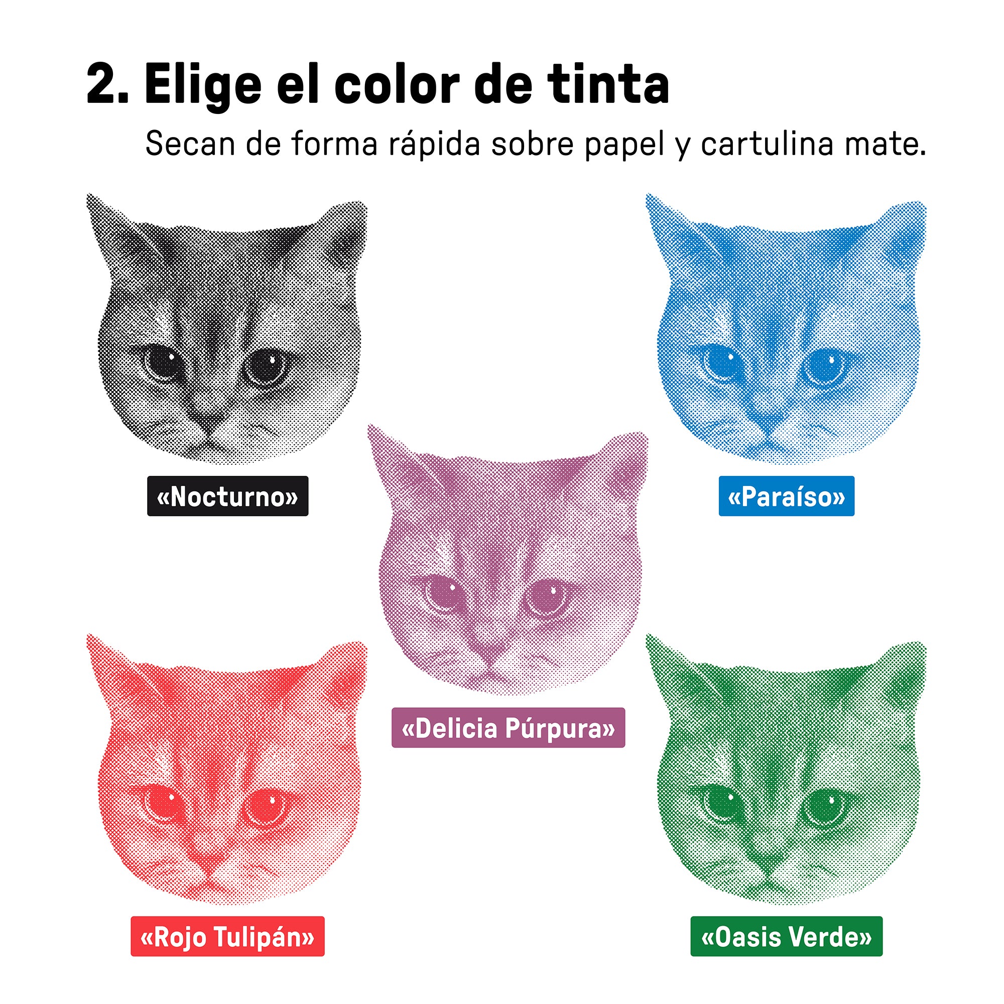 Pack Regalo: Fotosello